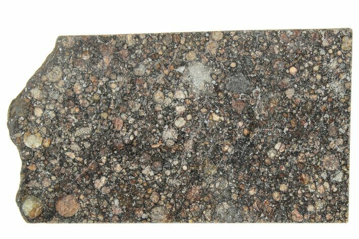 LL Chondrite Meteorite ( g) Slice - NWA #291387